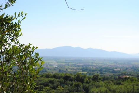 Montalbano, Tuscany, Italy le colline de Leonardo Leonardo's hills